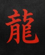 Dragon Chinese Zodiac Tube Top — Product Description - Image 3